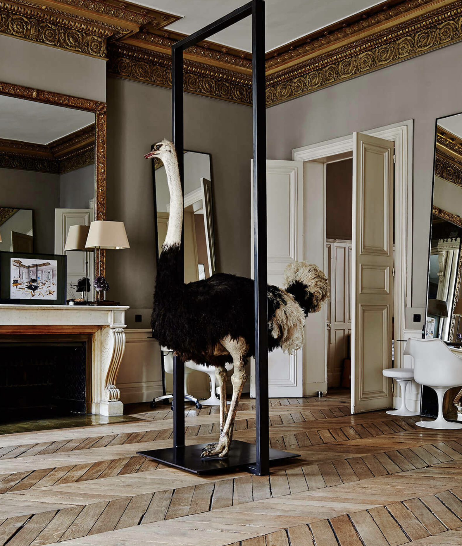 David Mallett | Paris salon precision. Australian ease. The definition of quiet luxury for hair.